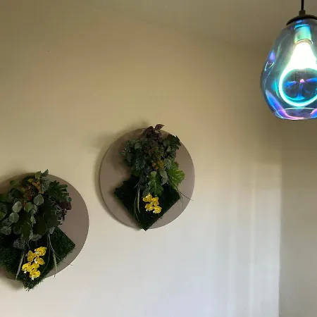 Apartment Dream Anaga